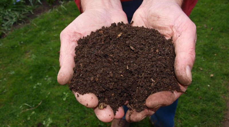 Jak na žížalí kompostér? Připravte si žížalí čaj pro své rostliny