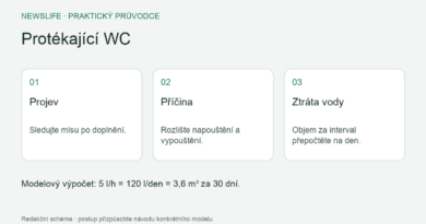 Protékající WC: Projev – Sledujte mísu po doplnění.; Příčina – Rozlište napouštění a vypouštění.; Ztráta vody – Objem za interval přepočtěte na den.
